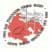 logo club Pays Sud Toulousain Femina Rugby